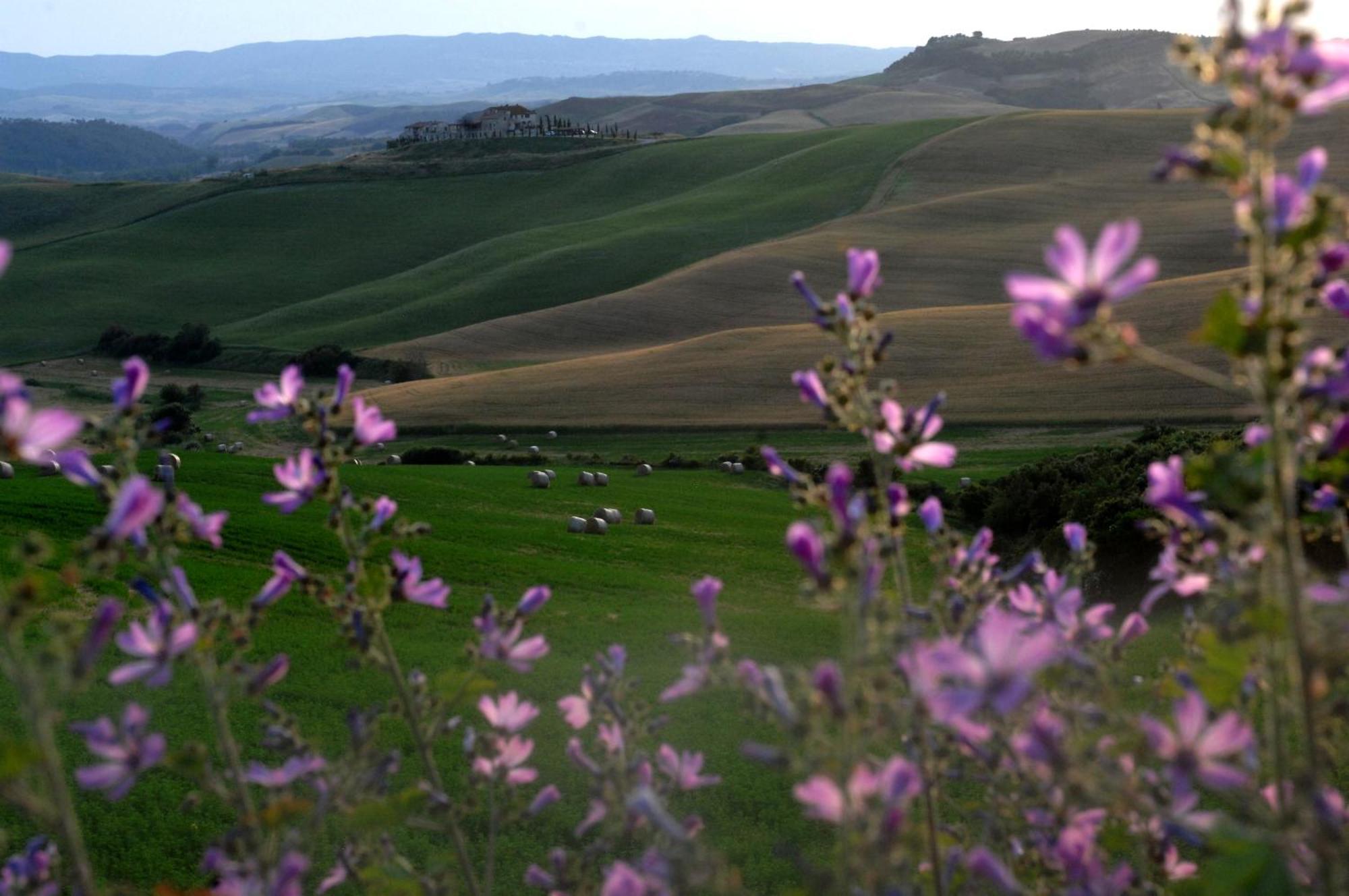 Agrihotel Il Palagetto Volterra Dış mekan fotoğraf